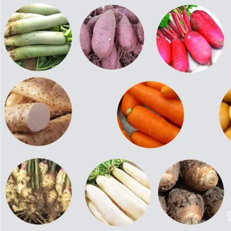 Small Volume Brush Type Potato Peeler Cassava Taro Peeling Machine XH