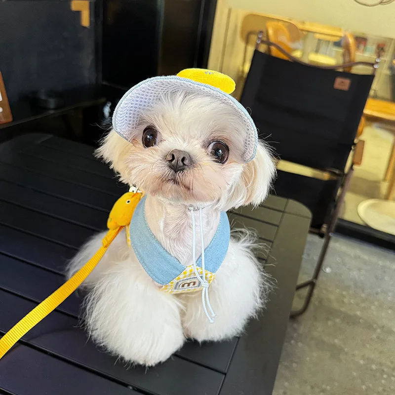 Pet Dog Cat Chest Back Traction Rope Sun Hat Puppy Sun Protection Hat Chest Back Traction Cute Set Small Dog Spring Summer