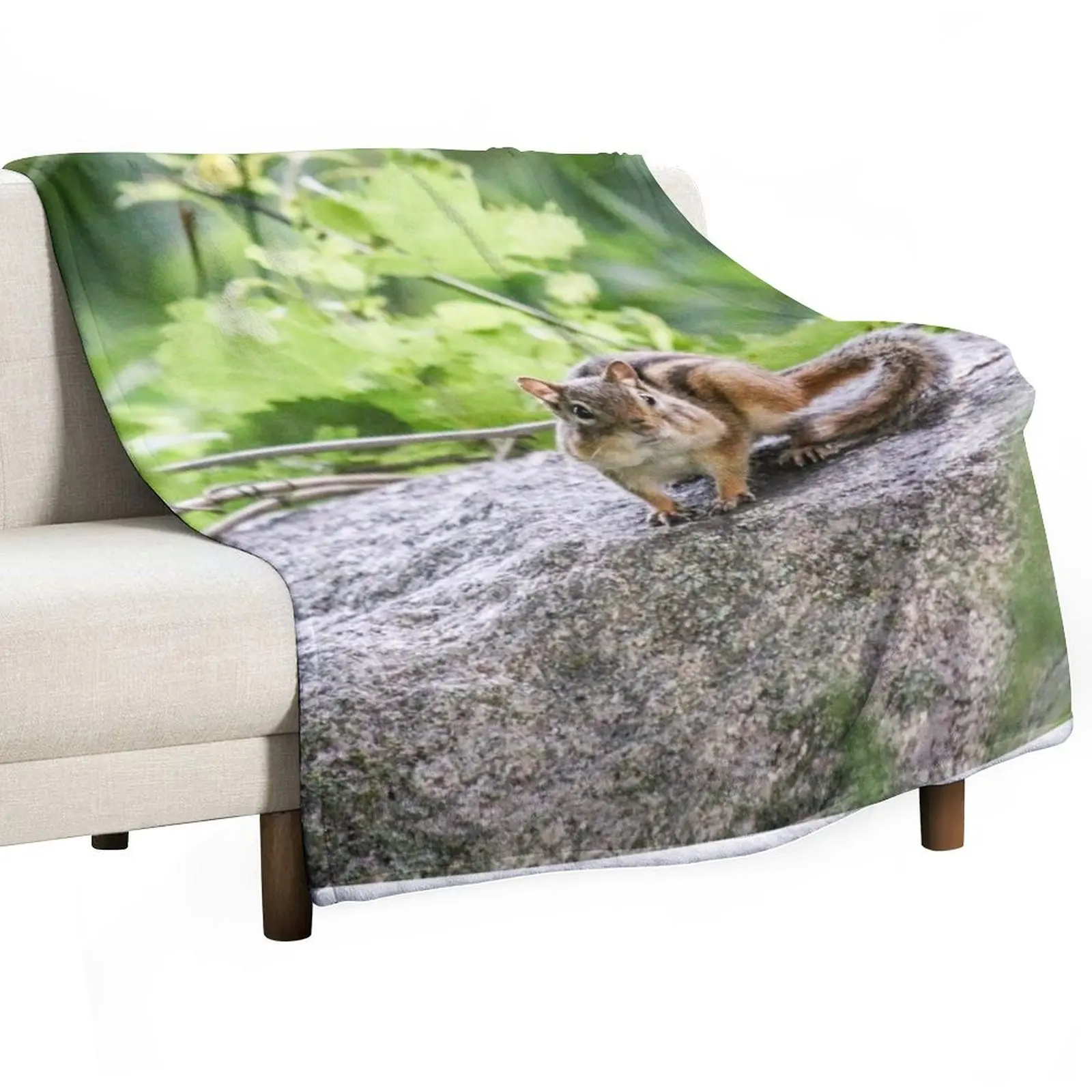 

Chipmunk Throw Blanket Blankets For Baby Single Sofa Quilt Hair Blankets