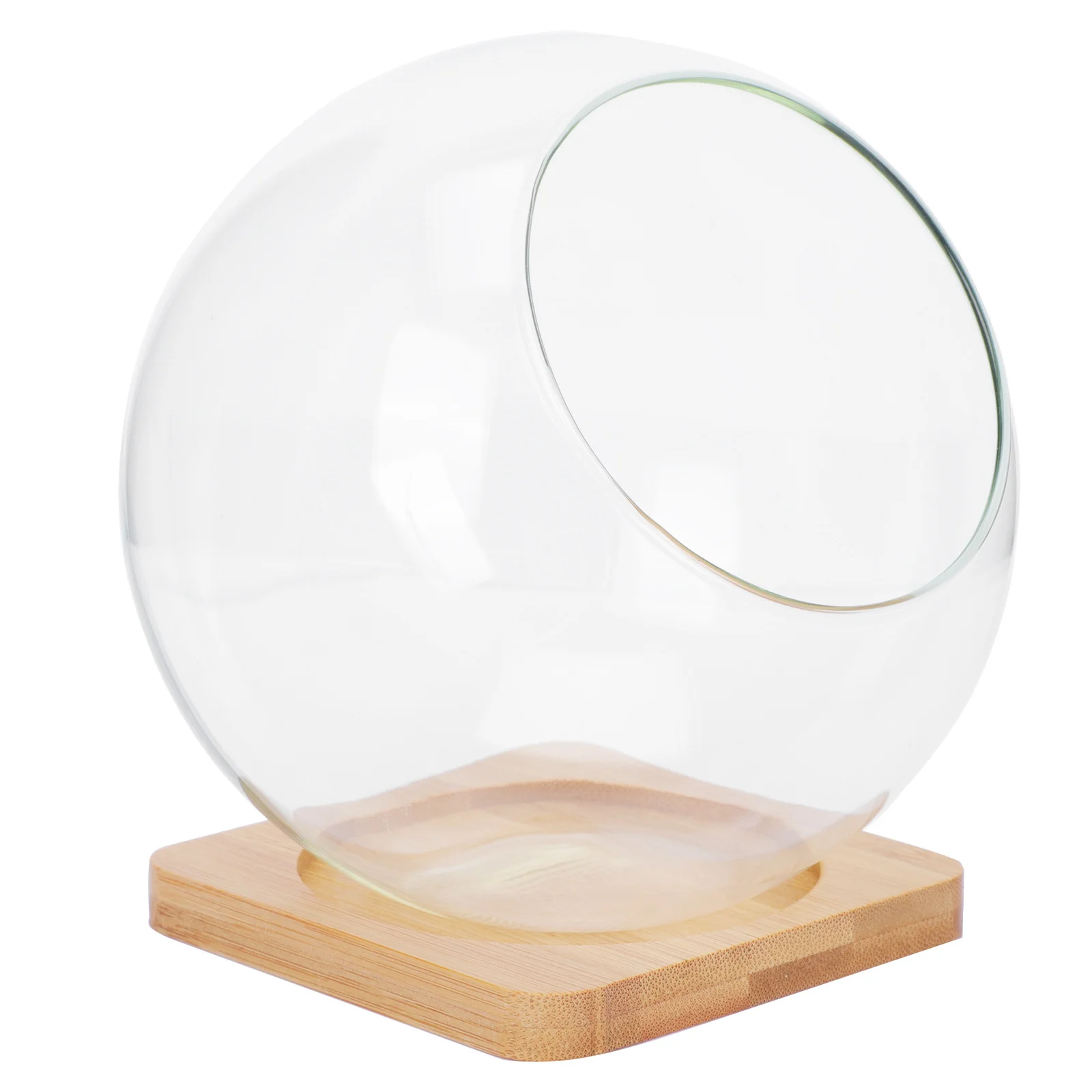 

1Set Moss Succulent Glass Storage Holder Sturdy Multi-Functional Decorative Micro Landscape Vase Transparent Succulent Pot