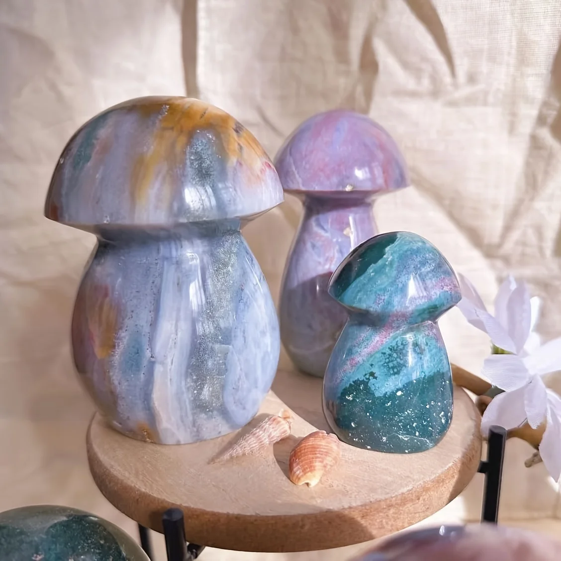 فطر اليشم البحري الطبيعي، حجر مصقول، حجر النخيل، كريستال، حشو خزان الأسماك. #2