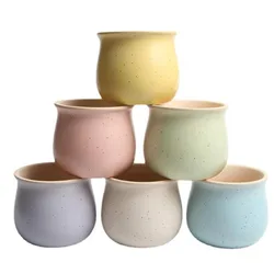 6 Colors Simple Pure Color Ceramic Planter Fleshy Plant Pot Flower Plant Vase Micro Landscape Home Garden Decoration