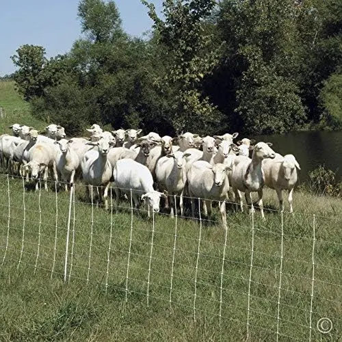 White/Black Portable Electric Fence with Built-in Single Spike Posts, 35\