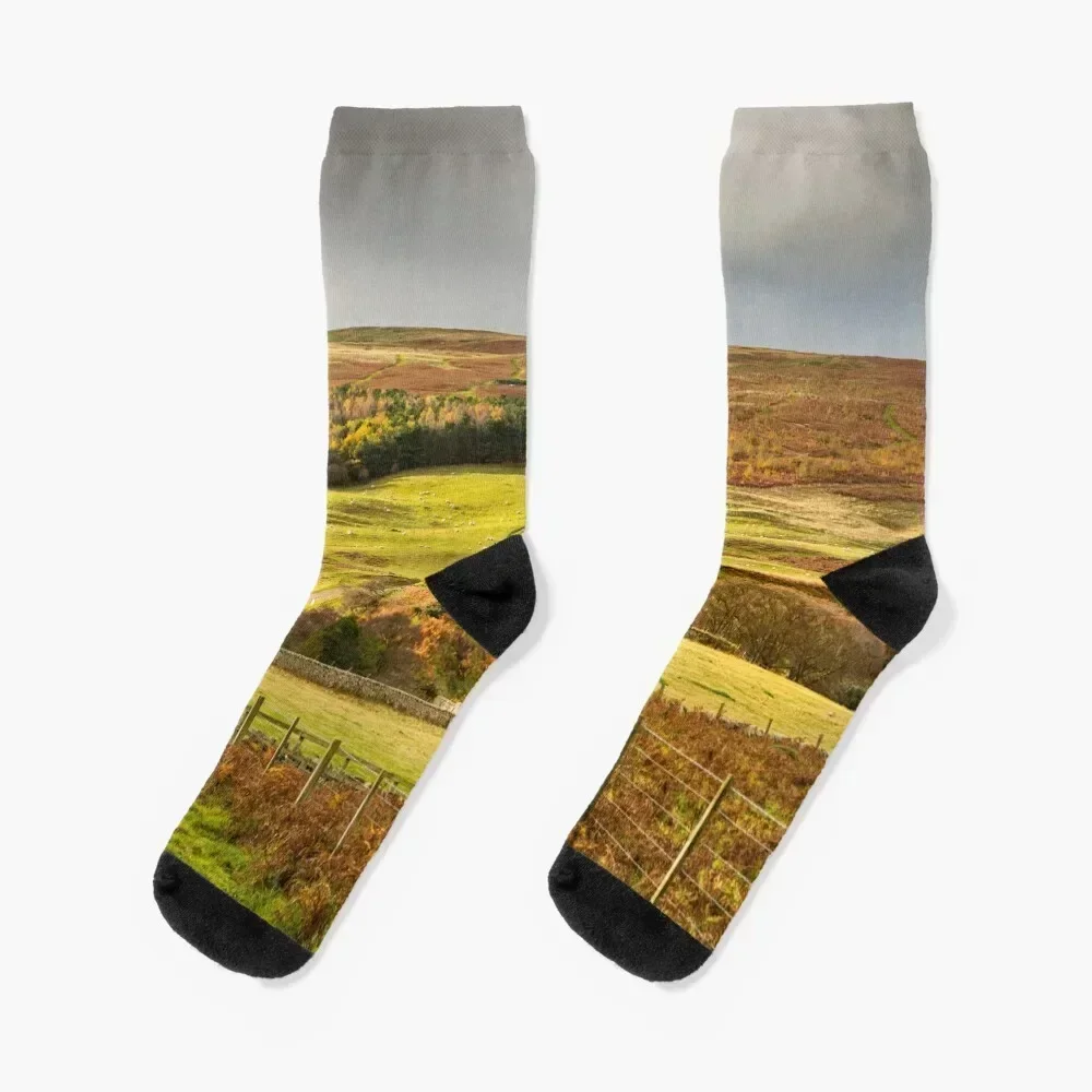 

Harthorpe Valley Hills Socks floor football halloween with print Socks Men's Women's