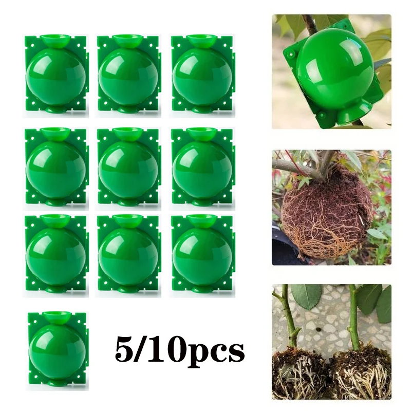 

10/5Pcs Plant Rooting Ball Propagation Rooting Box Reusable Plant Root Growing Box Cuttings Grafting Rooting Propagation Pots