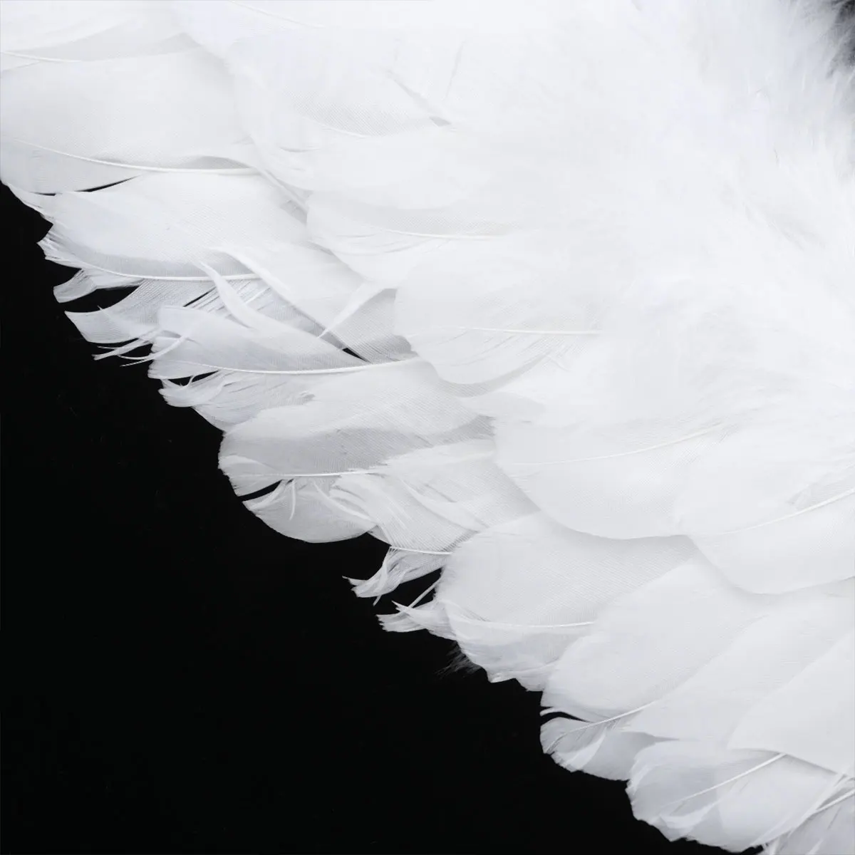 

2Pcs Glowing Wings Headb Kids Angel Costumes LED Party Angel Costume For Kids Supplies Children Clothing Props