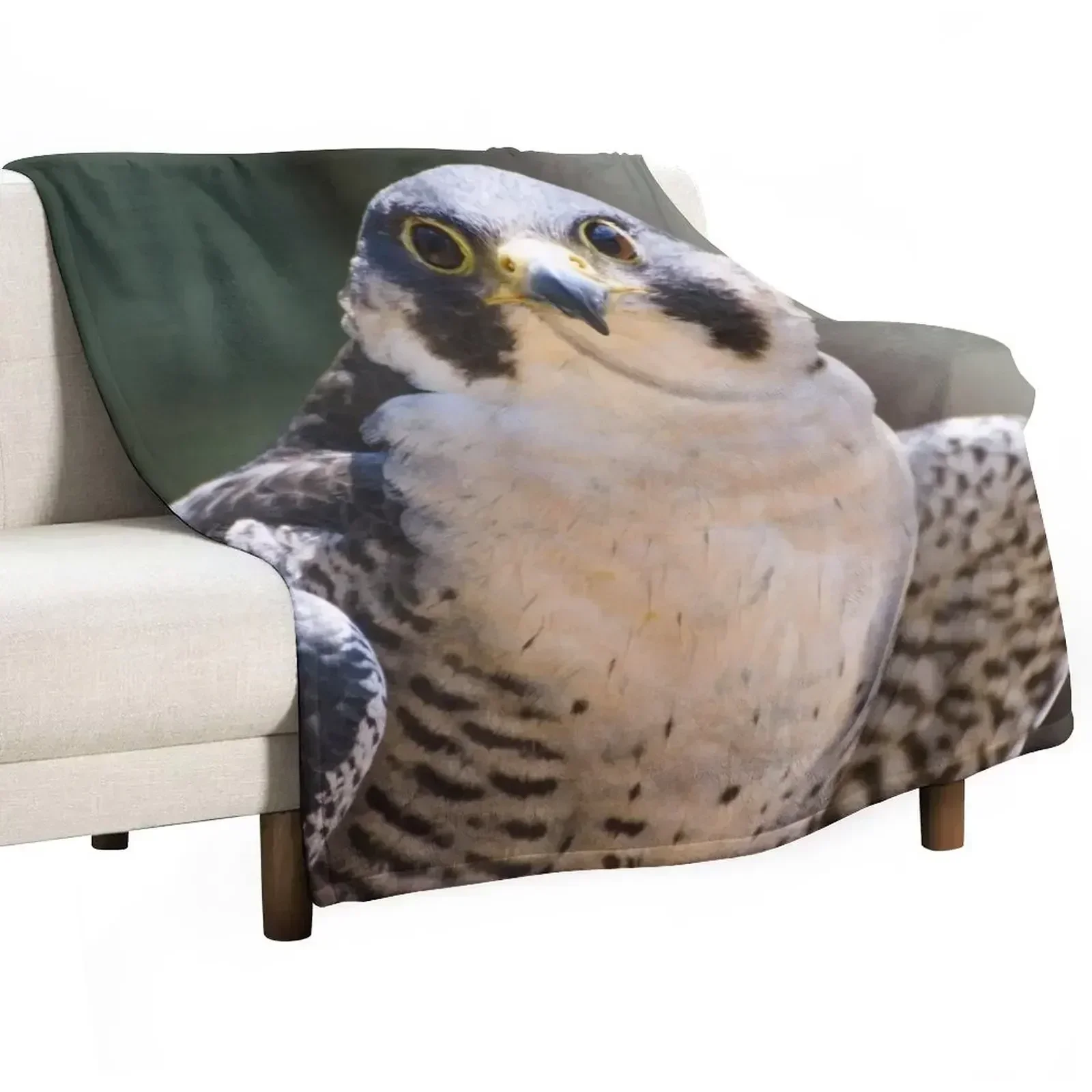 

Peregrine falcon Throw Blanket Moving Luxury Bed linens Luxury St Blankets