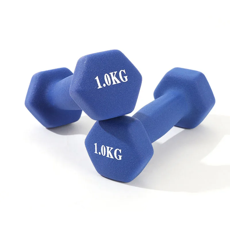 Beauty Sports Dumbbells Weights Body Building Fitness Gym Equipment Women men Yoga Pilates Strength Training Mini 1kg 2 pieces