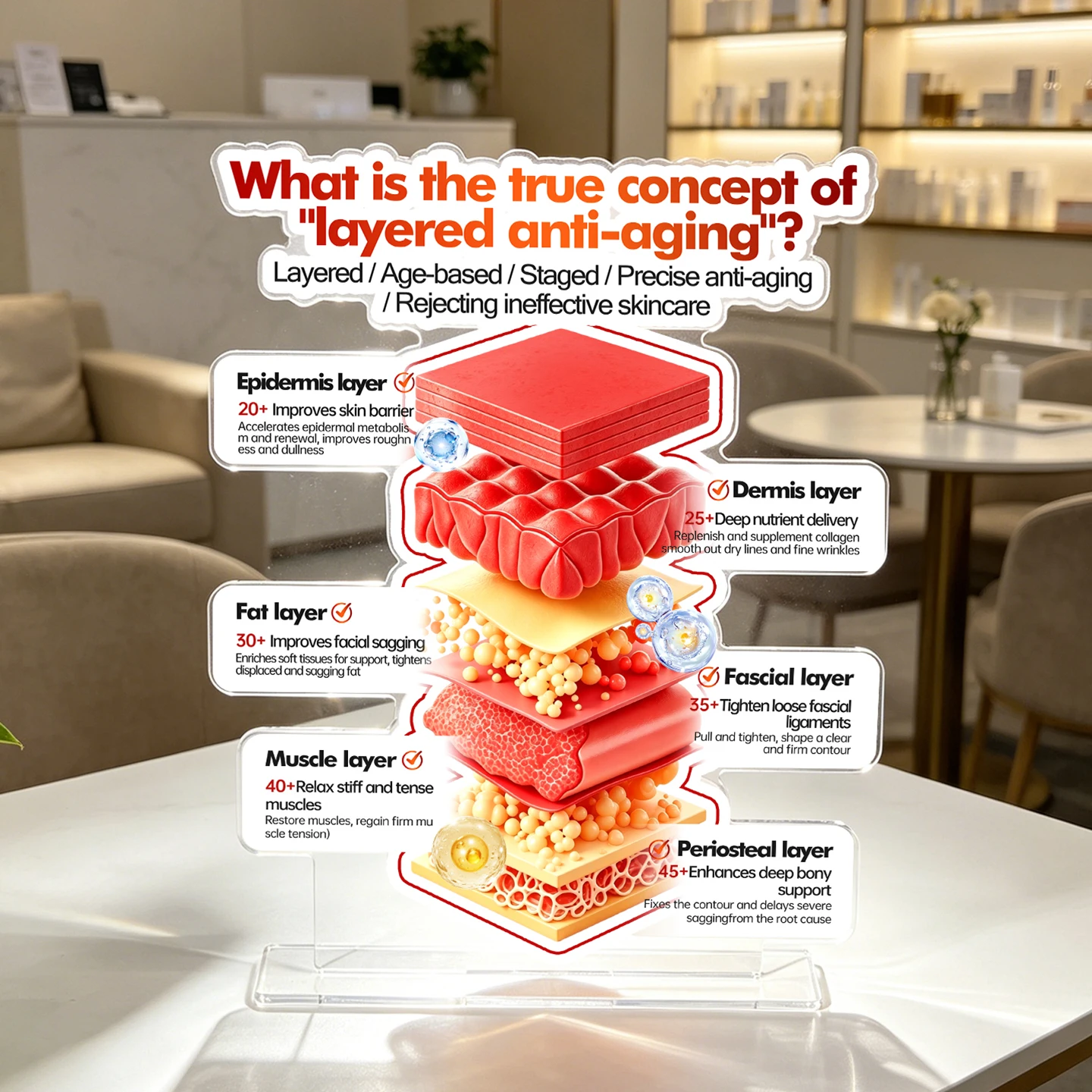 

Professional Skincare Educational Display Plaque, 3D Skin Structure Layered Anti-Aging Acrylic Sign for Patient Consultation