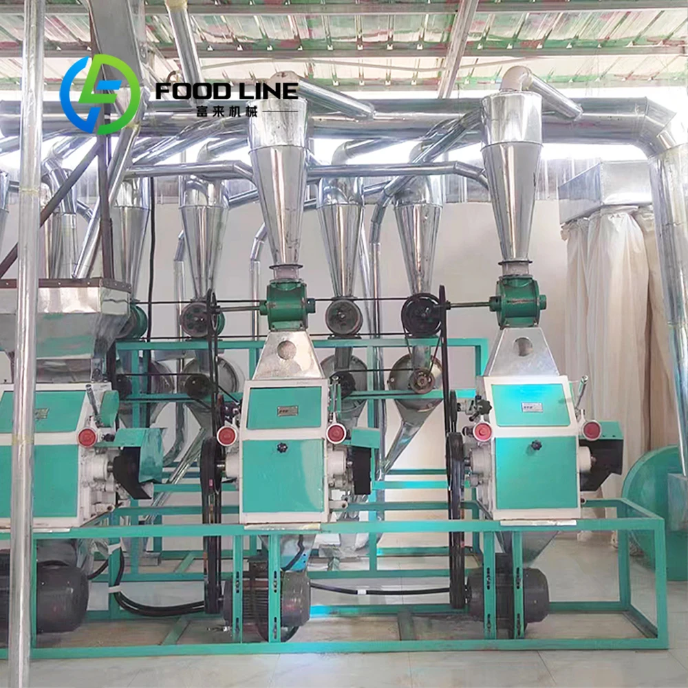 10T Per Day Refined Flour Complete Wheat Flour Mill Plant for Africa Market