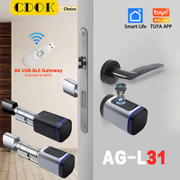 CDOK L31 Tuya Bluetooth smart lock, biometric unlocking, gateway remote unlocking can be added, black/silver