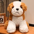 brown dog nnx