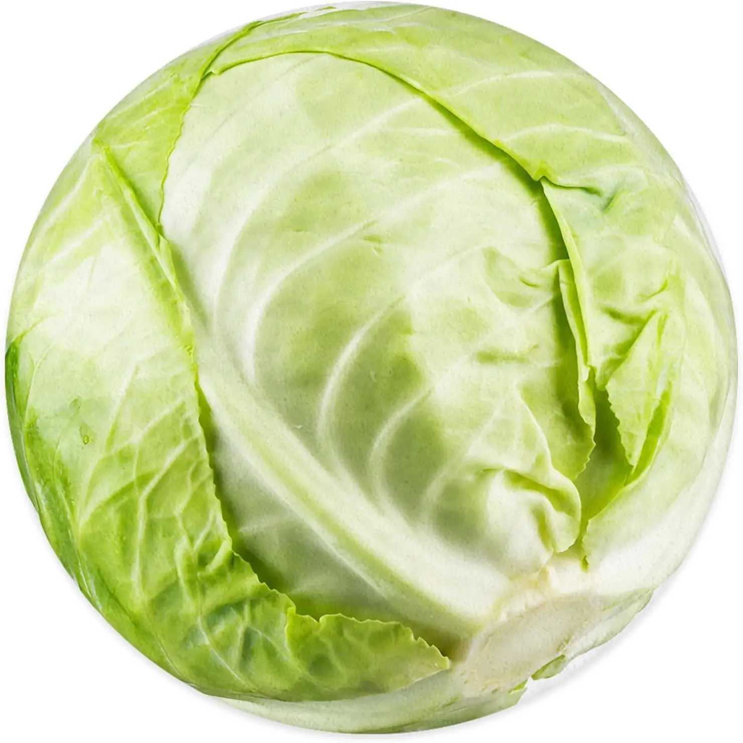 diversao-cobertor-de-repolho-saudavel-verde-folha-vegetal-cama-sofa-cobertor-adulto-macio-e-leve-presente-das-criancas