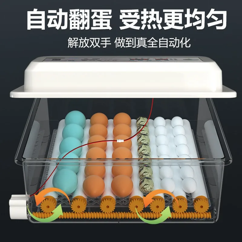 Small Automatic Water‑bed Egg Incubator Smart Hatching Box For Chicken Duck Goose Pigeon Parrot Household Breeding Hatching