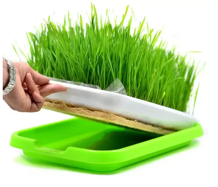 Hydroponic Germination Planting Tray Shelf Seedling Frame Pot Shelf with Wheels