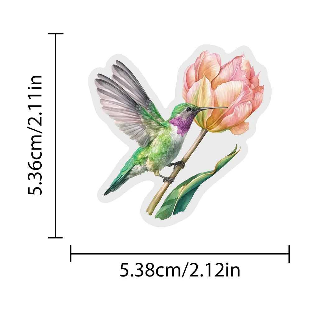 50 Stück Kolibri-PET-Aufkleber für Telefon, Laptop, Notebook, Skateboard, Kühlschrank, DIY, ästhetische transparente Aufkleber – Detail 16