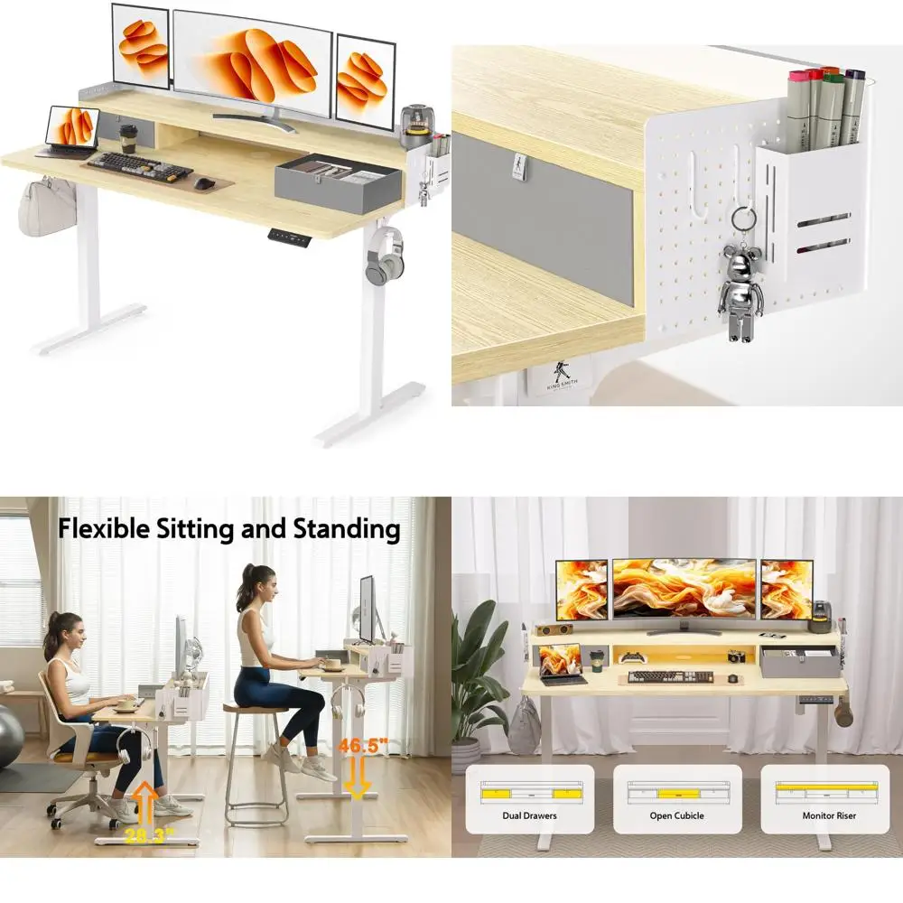 

Ergonomic Electric Height-Adjustable Desk with 2 Drawers for Home Office, 55x24 Inches, Sit-Stand Desk