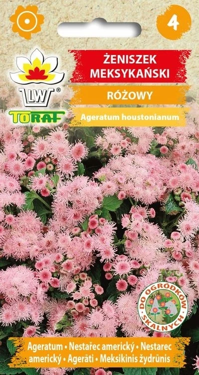 Mexikanische Rosa Zenisk-Blumensamen-685 Toraf
