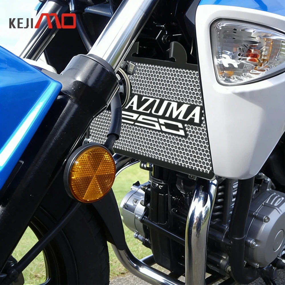 

For Suzuki GSR250 GW250 Inazuma 250 GW 250 2013 2014 2015 2016 2017 Motorcycle Accessories Radiator Grille Guard Cover Protector