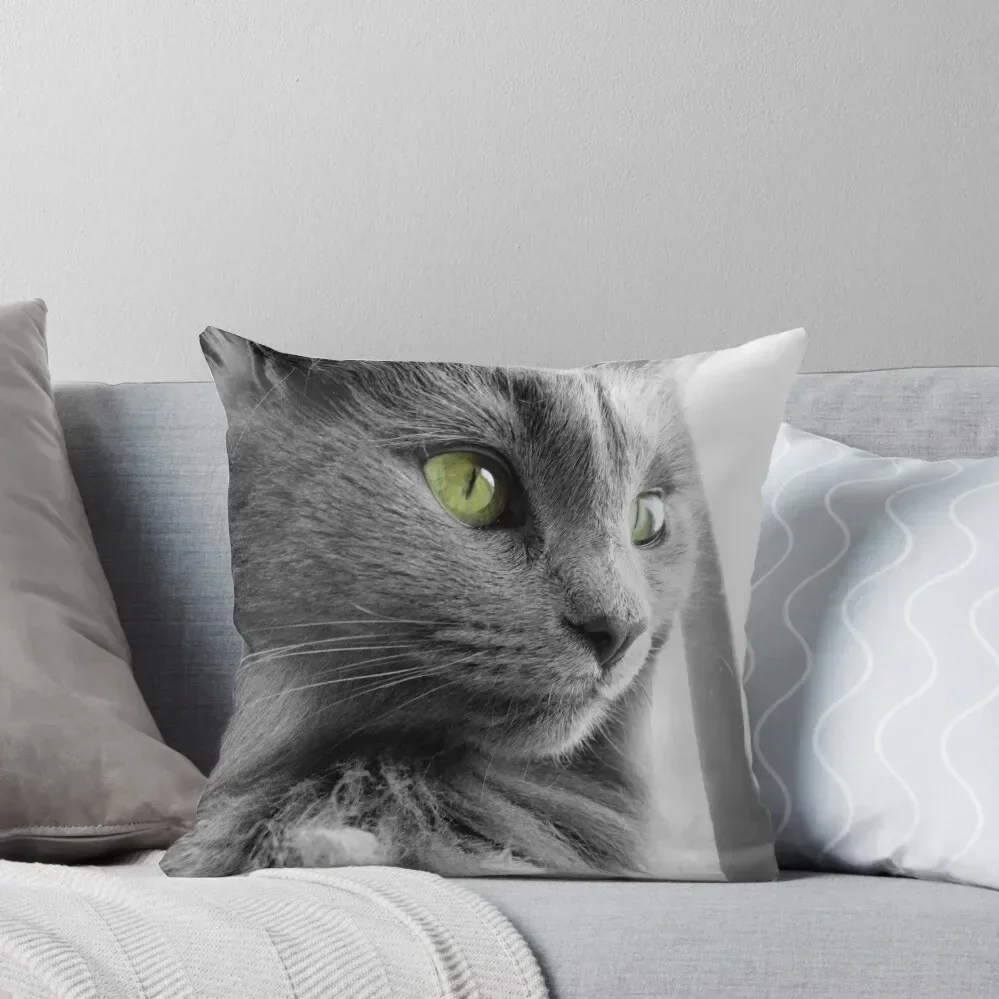 Stunning Gray, Green Eyed Cat Throw Pillow luxury sofa pillows Pillow Case pillow