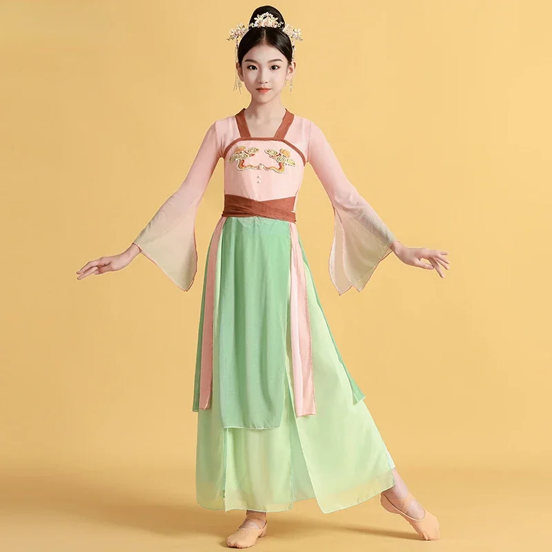 

Traditional Chinese Folk Classical Dance Costumes Girls Hanfu Clothing Ancient Elegant Practice Clothes Guzheng Dance Costume