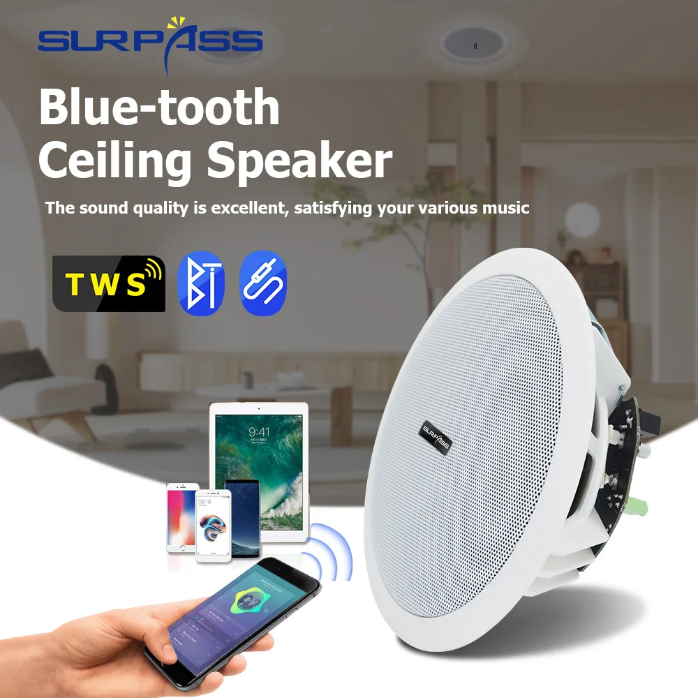 BT510 SURPASS Built-in Class-D Amplifier Full Range BT Ceiling Speaker Horn With Good Quality