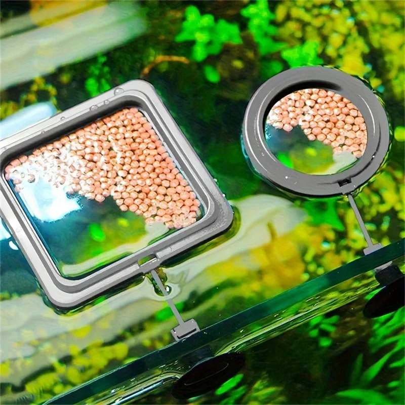 Floating Fish Food Feeder Ring - Square Circle Aquarium Station with Suction Cup, Easy Food Dispenser, Space-Saving Design