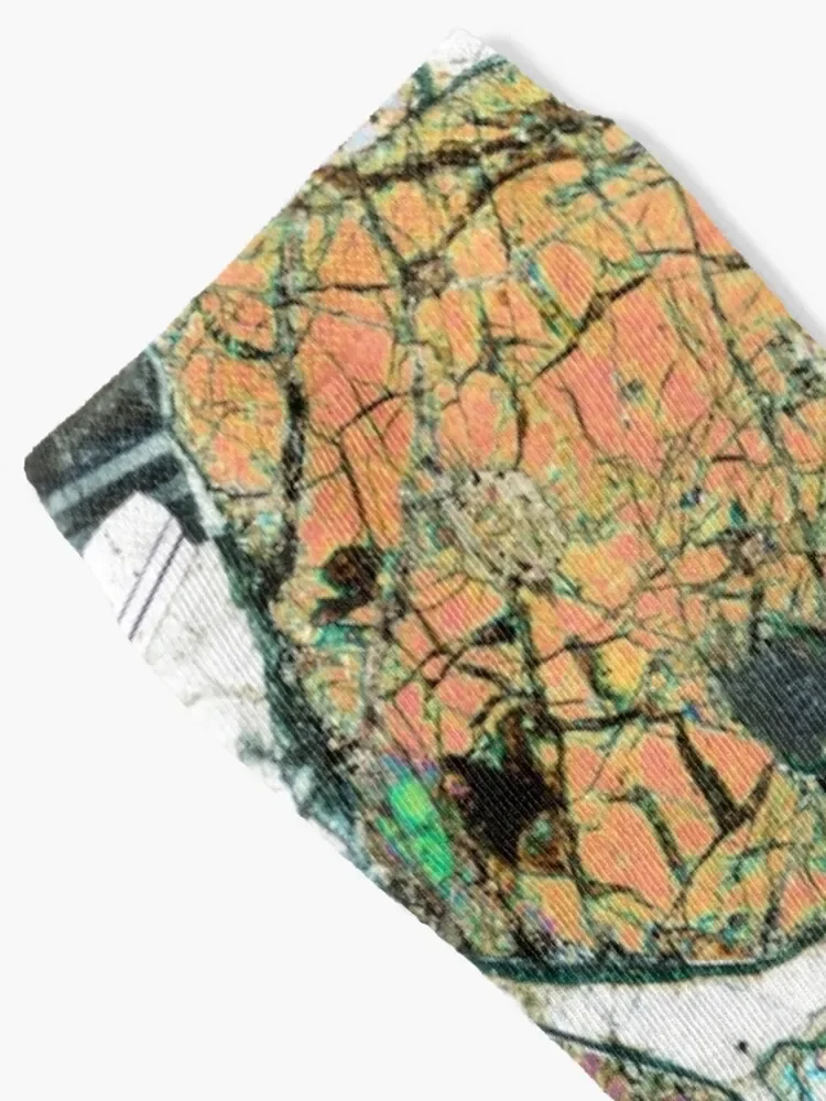 Geology gift - Peridotite from Ardnamurchan, Scotland Rock Thin Section Microscope Photo Socks Christmas Socks Male Women's