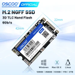 Oscoo M2 Ssd 2242 120Gb 240Gb 500 Hdd Ngff M.2 Sata 1Tb 2Tb Harde Schijf Voor Laptop Jumper 3 Pro Prestigio 133