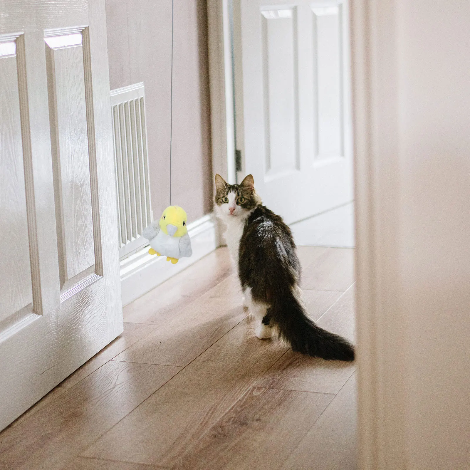 

Smart Pet Flapping Bird Cat Rechargeable With Catnip 7 Modes Motion Activated Chirping Sound Indoor Cats Electric Simulation