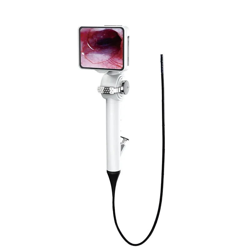 

Flexible Endoscope with 3.5 Inch Display, 180 Degree Deflection, 4.8mm Distal End, 2.6mm Channel, 600mm Working Length