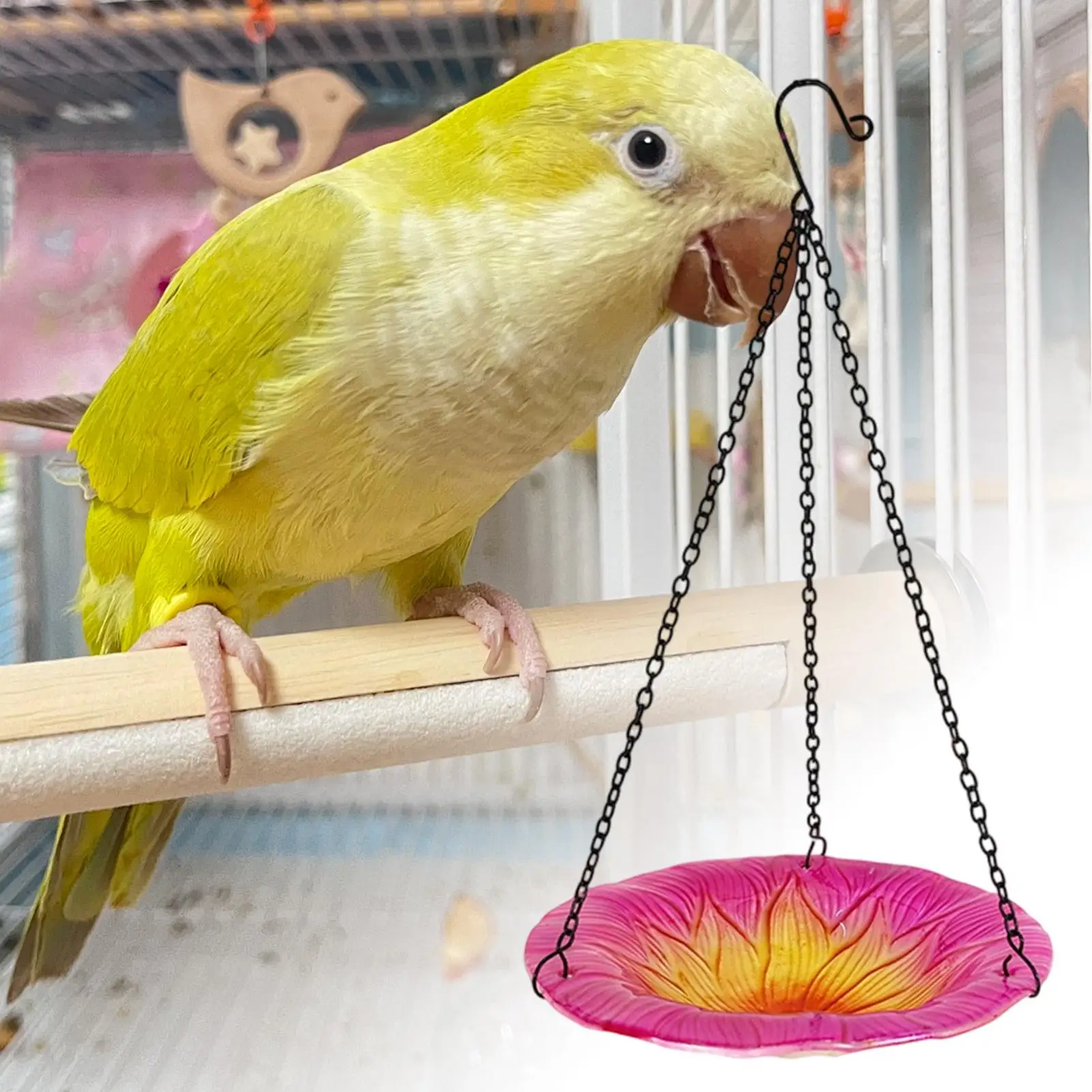 

Bird Bath 8 Inches Flower Shape Basin Decorative Bird Baths For Lawn Backyard Patio Wildlife Outdoor Yard Balcony Nature