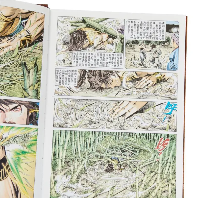 Edición de coleccionistas incomparable 06 Versión de tapa dura He Zhiwen Century Creación y edición juvenil Co LTD 9789887113843 Libro