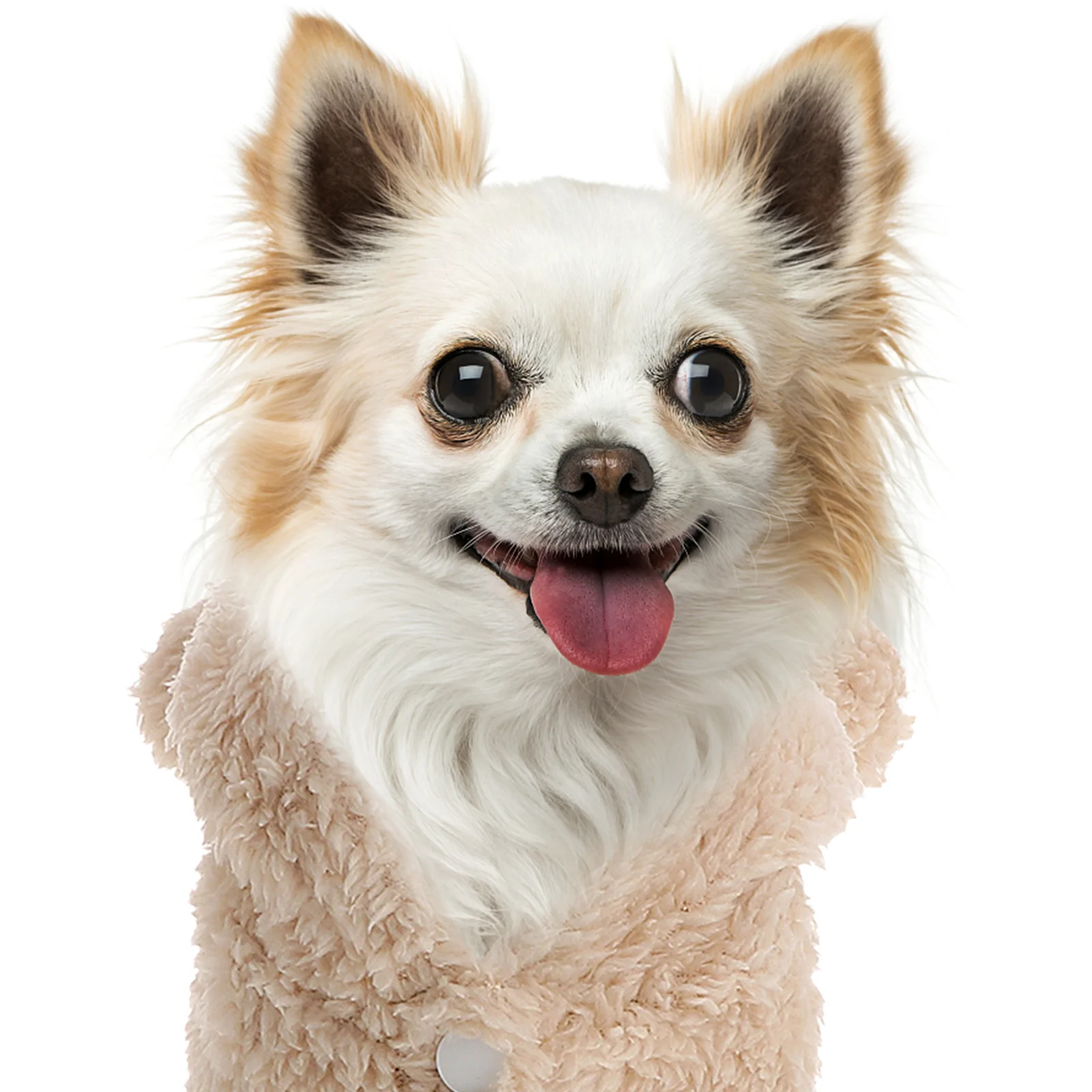 

Bear Ears Dog Clothes Winter Warm Hooded Pet Sweater No-Sleeve Buckle Closure For Small Dogs Outdoor Christmas Wear Dog