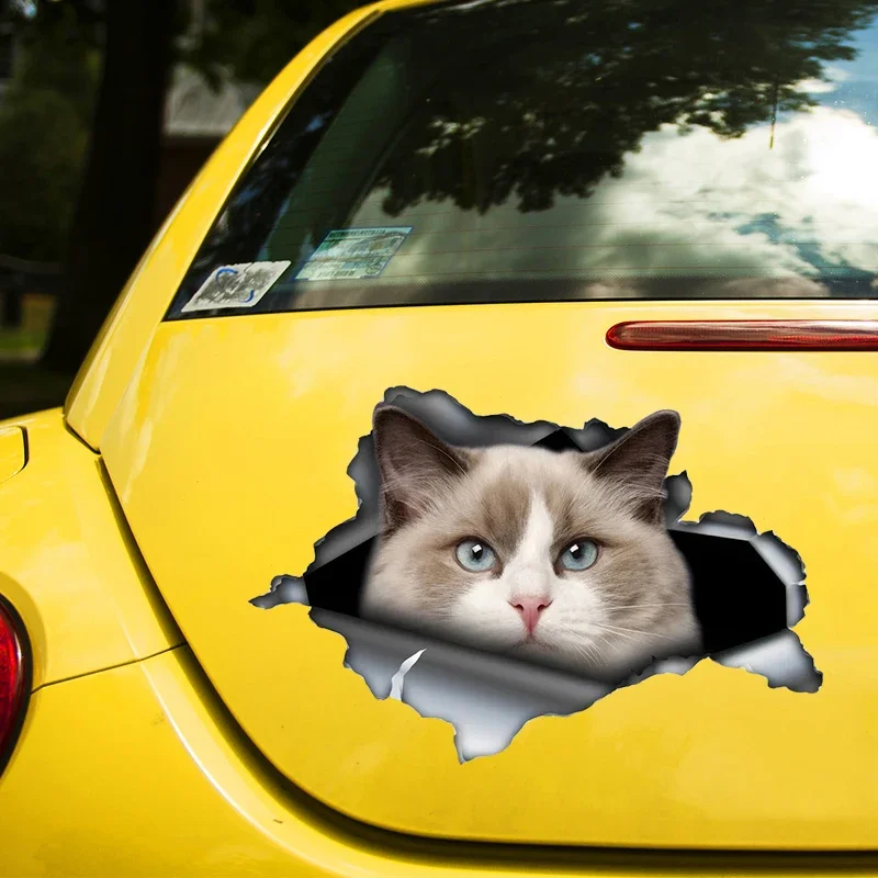 Ragdoll Cat Self-adhesive Decal Car Sticker Waterproof Auto Decors on Bumper Rear Window Laptop Choose Size