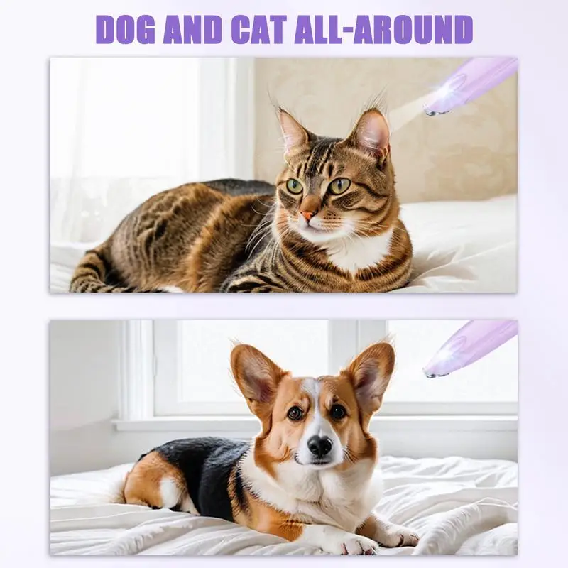 ماكينة تشذيب شعر الكلاب الكهربائية، ماكينة تشذيب شعر الكلاب، قابلة لإعادة الشحن، ماكينة حلاقة للشعر منخفضة الضوضاء لآذان المنزل اليومية والعيون