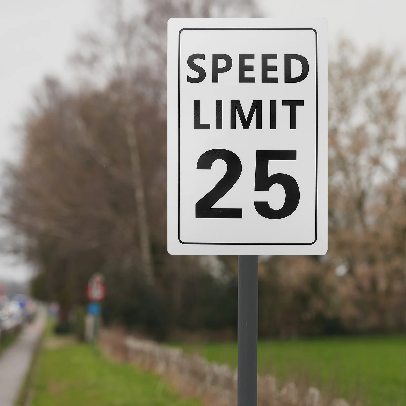 25 Mile Speed Sign 8x12 Inches Metal Traffic Safety Symbol Reflective Road Warning Signs for Highway