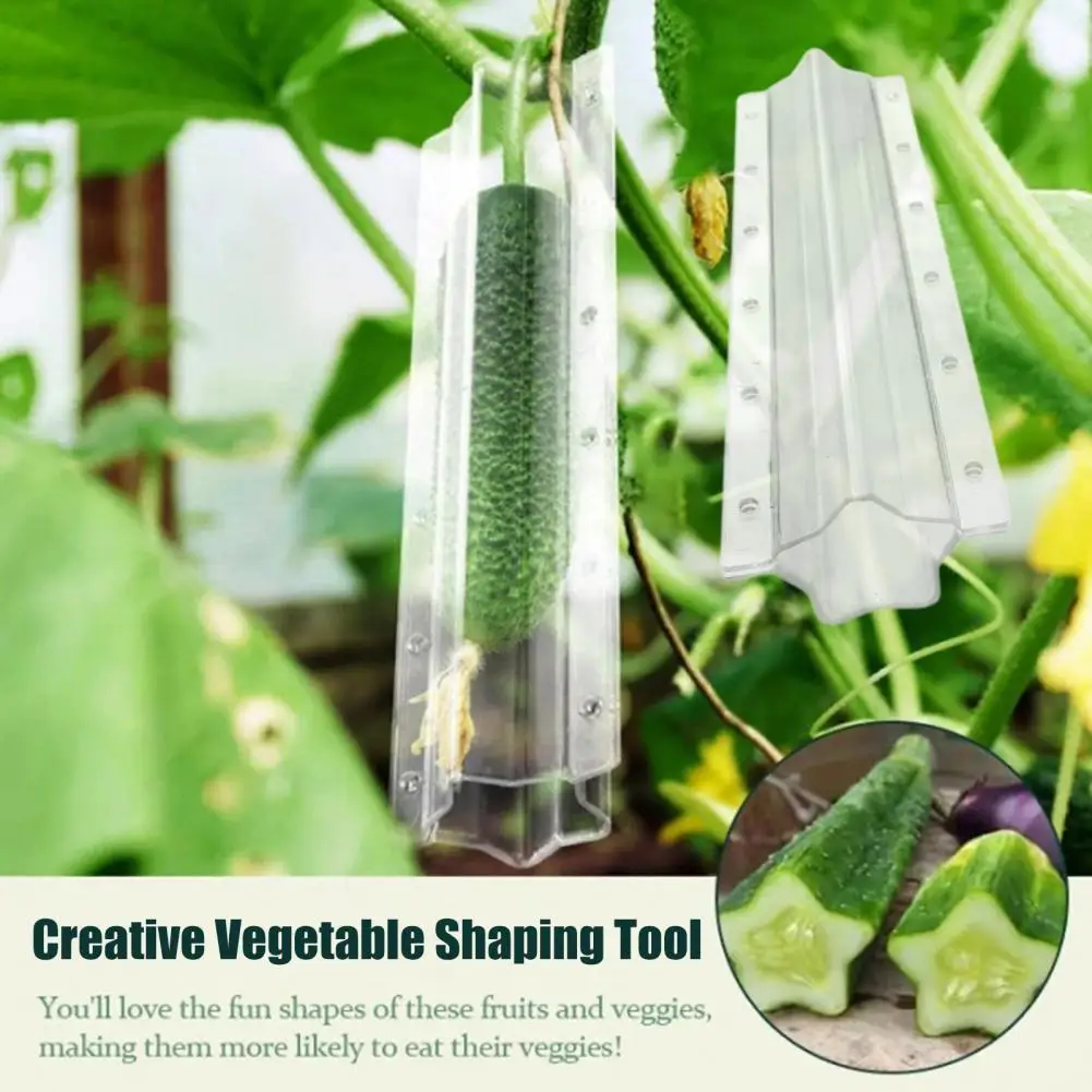 20*3.6cm Cucumber Cultivation Mold Heart Star Shape Vegetable Shaping Tool Garden Vegetables Growing Mold Plum Blossom Combinate