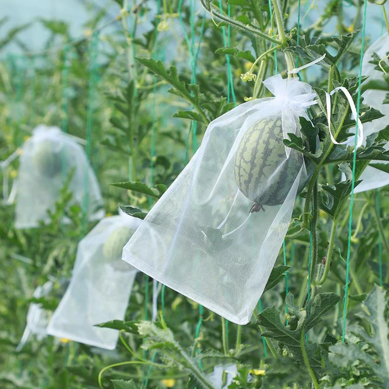 50Pcs/set Fruit Protection Bags Pest Control Anti-Bird Organza Garden Netting Bags Mesh Agricultural Tree Garden Tool Grow Bags