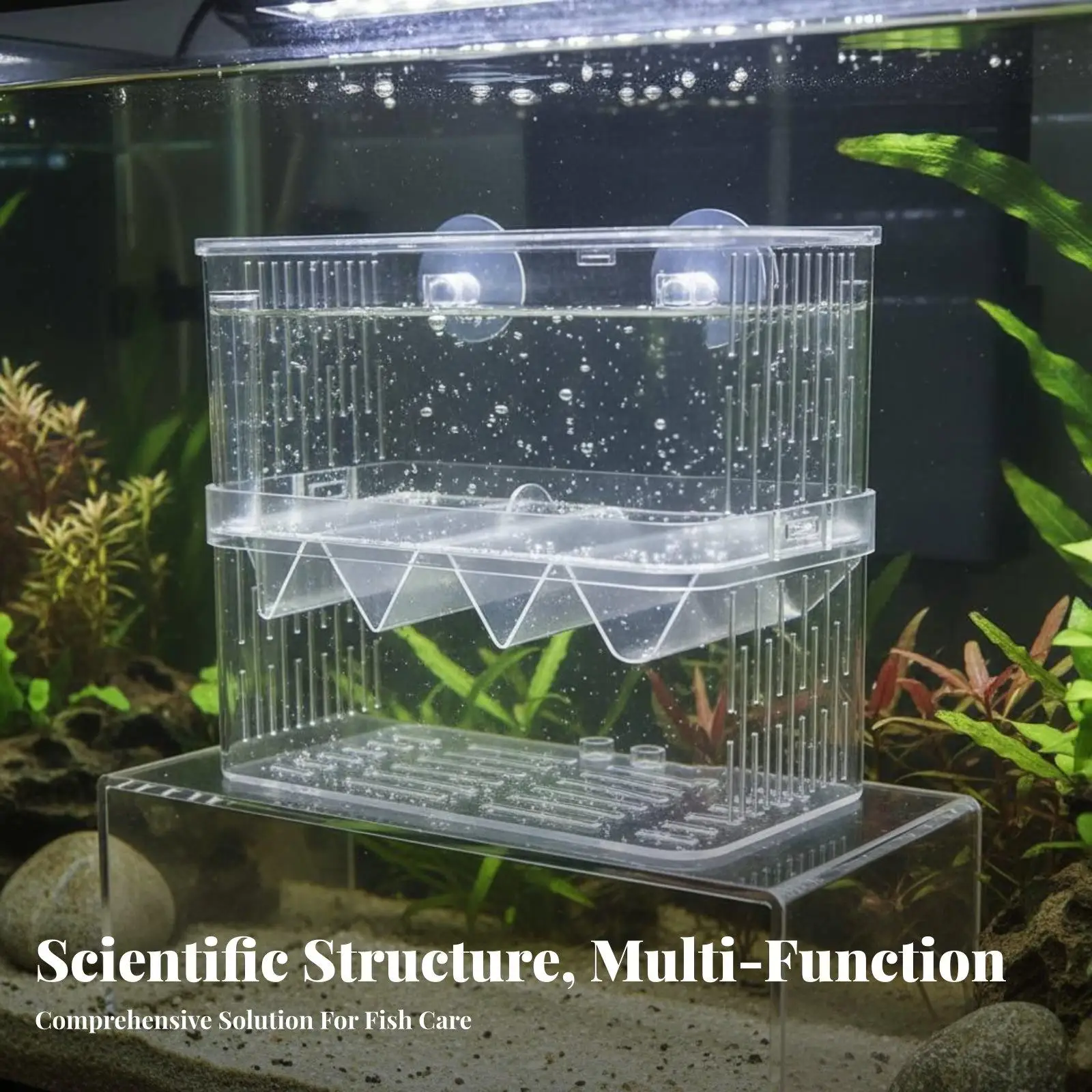 Buoyant Acrylic Fish Breeder Box for Aquarium Fry Tank with Multi Layer Design for Isolation and Hatching Chamber