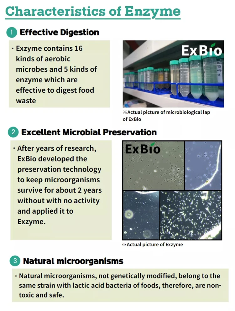 Commercial Usage Exbio 300kg/day Organic Kitchen Appliances Food Garbage Disposal Food Waste Composting Machine