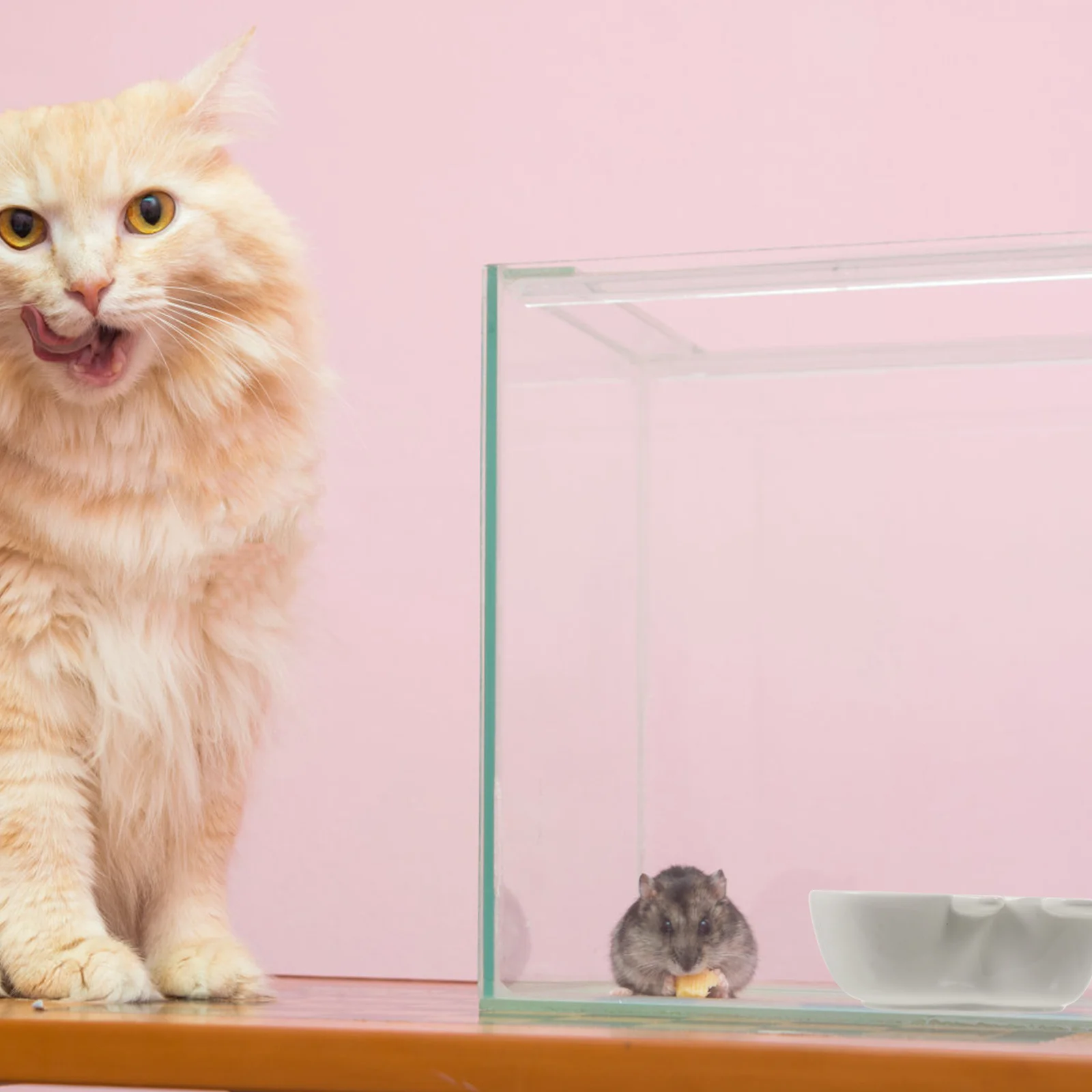 

Pet Ceramic Bowl Pink Rabbit Shape Durable Creative Design Small Pet Food Feeder Feeding Bowl Eco Friendly Hamster Feeder