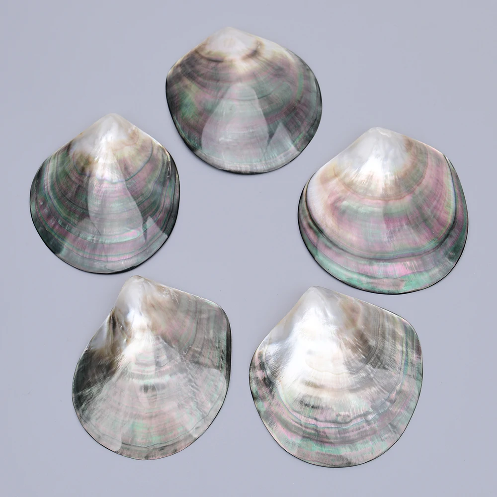 APDGG 5 Pcs Large 100mm Natural Black Sea Shell Charms Pendant Big Beads Jewelry Making DIY