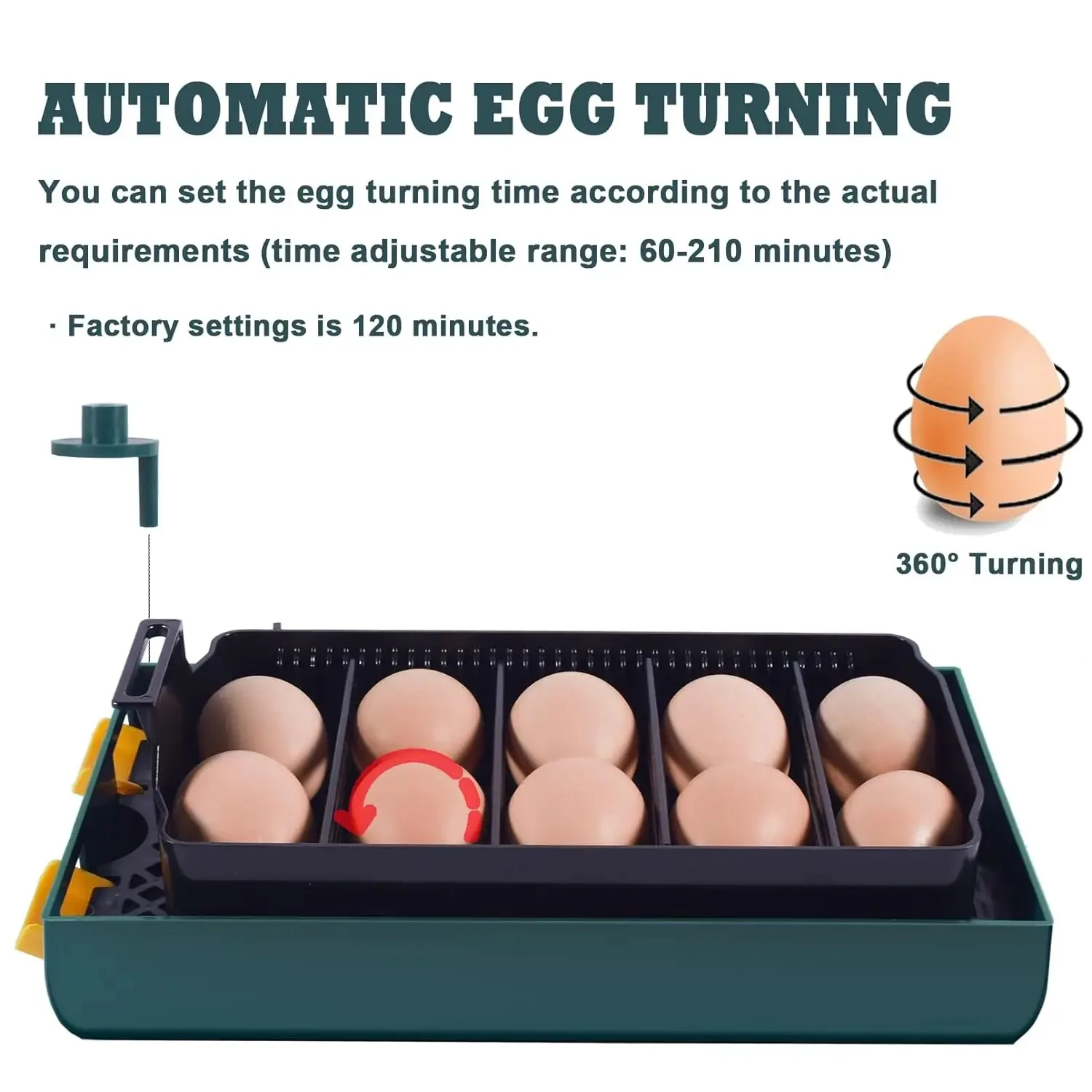 10 Small House Shaped Incubator Can Automatically Turn Eggs, Automatically Control The Incubator Humidity And Temperature.