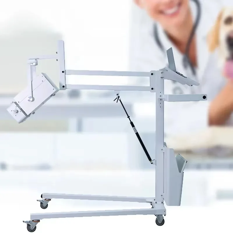 low-cost veterinary carbon steel bracket with high-quality X-ray accessories