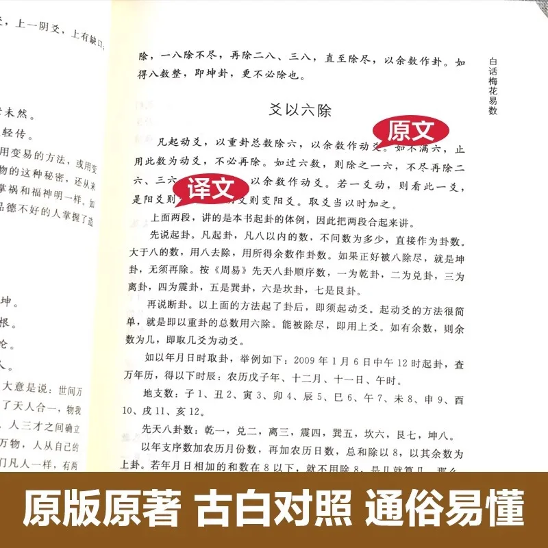 The Easy Counting of Plum Blossoms in Vernacular Language, Original Chinese Philosophy Book of Changes By Shao Yong