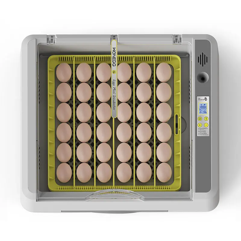 Egg Fully Automatic Incubator, 80W Poultry Hatcher with 2 Fans, 98% Hatch Rate Dual Voltage 110V/220V CE for Chicken Duck Quail