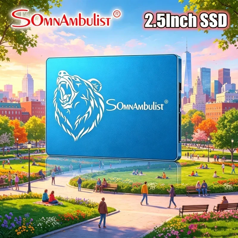 rhabdic-somnambulist-sata3-ssd-1tb-2tb-ssd-protensive-disque-ssd-128gb-240gb-256gb-480gb-512gb-960gb-pour-ordinateur-portable-et-de-bureau