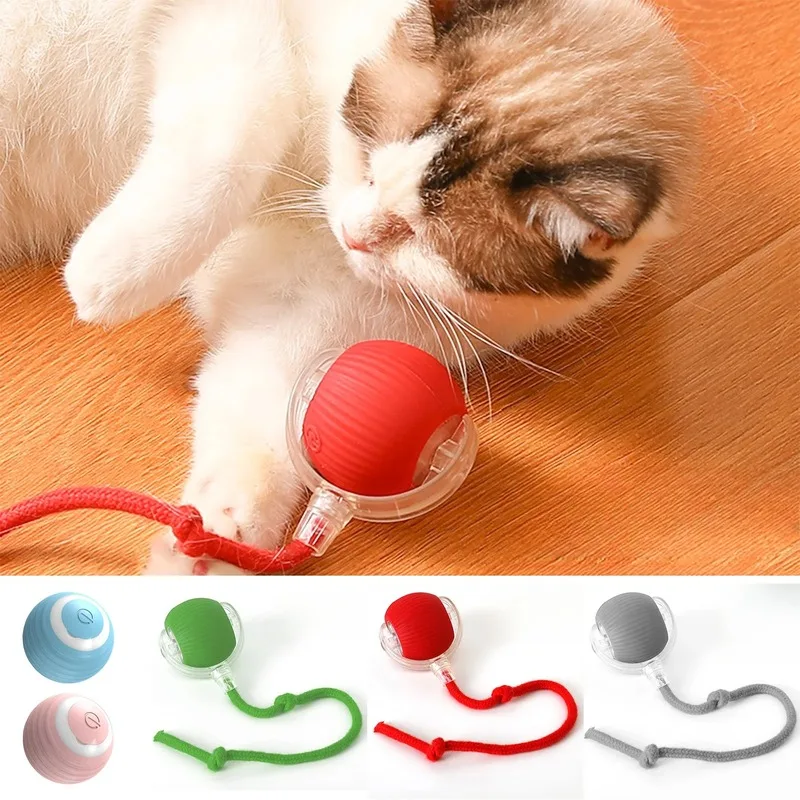 cat scratcher toy