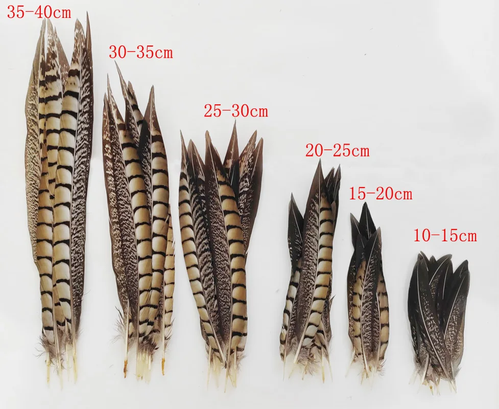 10/50Pcs/Lot!10-40cm Lady Amherst Pheasant Tail Feathers Wholesale Loose Feathers DIY Jewelry Stage Performances Decoration